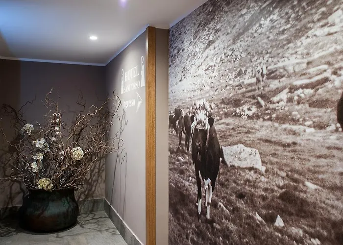 Sant'orso - Mountain & Hotel 4*